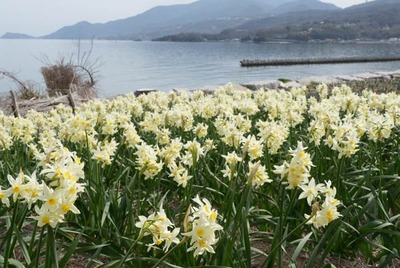 250316-09.jpg