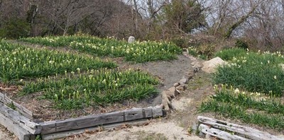 250316-12.jpg