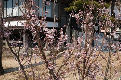 250321-01.jpg