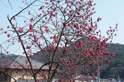 250321-05.jpg
