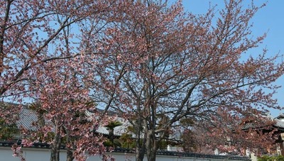 250321-10.jpg