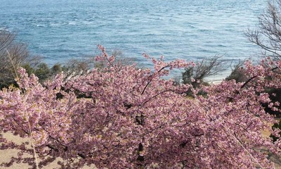 250321-11.jpg