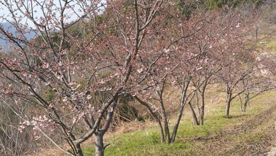 250321-12.jpg