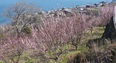250323-03.jpg