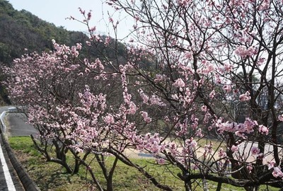 250323-06.jpg