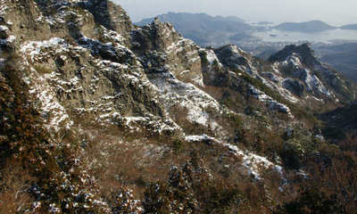 olive110208f.jpg