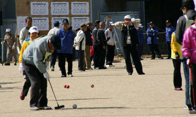 olive110305b.jpg