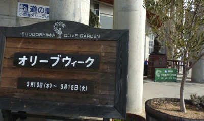 olive110311a.jpg