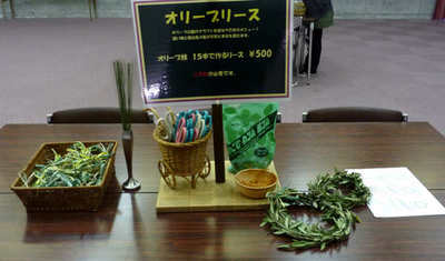 olive110311c.jpg