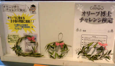olive110311d.jpg