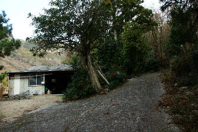 100104-13.jpg