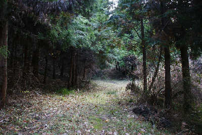 100104-14.jpg
