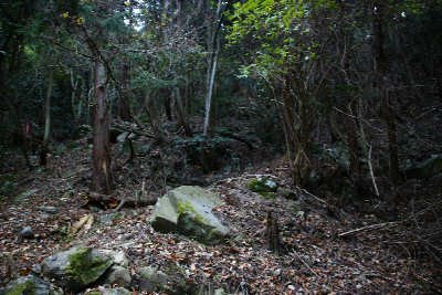 100104-15.jpg
