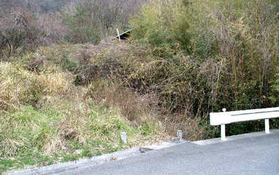 100111-02.jpg