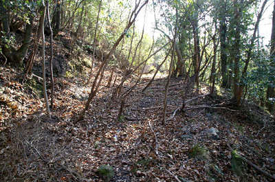 100111-05.jpg