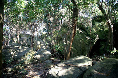 100111-06.jpg