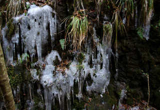 110109-19.jpg