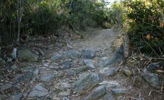 110130-11.jpg