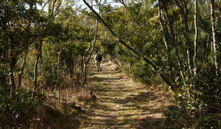 110130-14.jpg