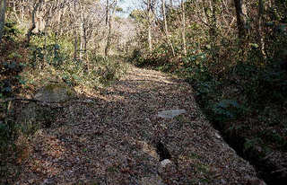120214-02.jpg
