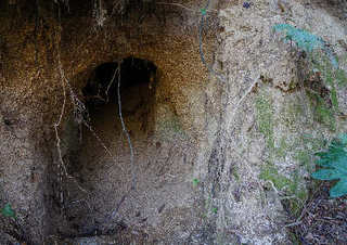 120214-03.jpg