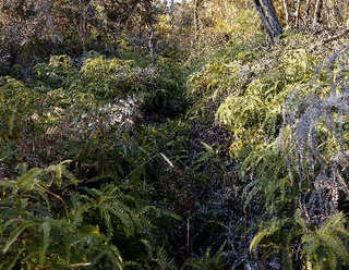 120214-11.jpg