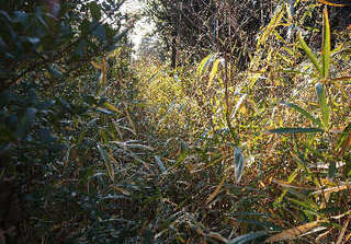 120214-12.jpg
