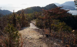 120214-13.jpg