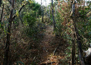 120214-21.jpg
