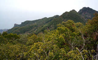 130113-15.jpg