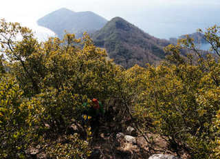 130202-05.jpg