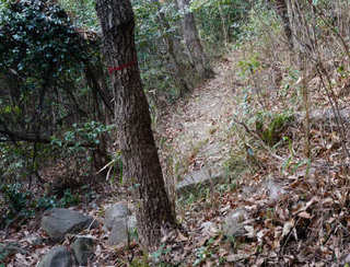 130211-24.jpg