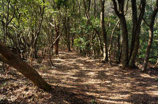 130211-29.jpg