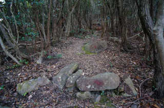 130211-31.jpg