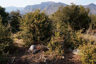 130211-33.jpg