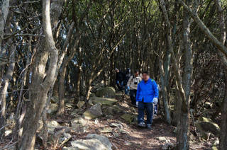 140119-20a.jpg