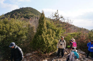140119-21a.jpg
