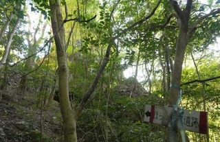 220123-13.jpg