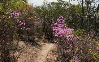 220408-21.jpg