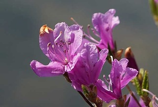 220408-22.jpg