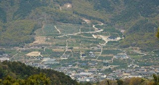 220408-29.jpg