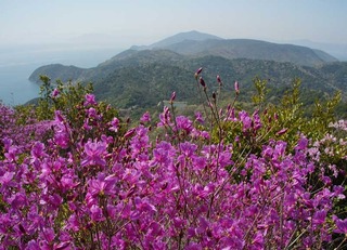 220408-30.jpg