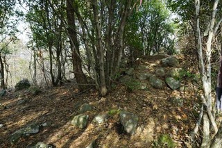 220504-08.jpg