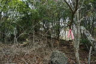 220504-11.jpg