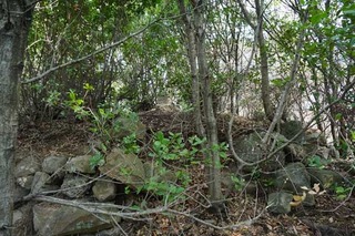 220504-12.jpg