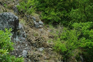 220504-17.jpg