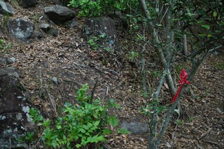 220504-19.jpg