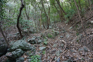 220531-03.jpg