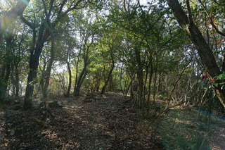 220531-10.jpg