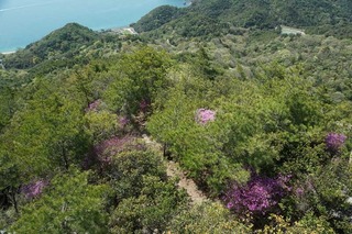 230414-05.jpg